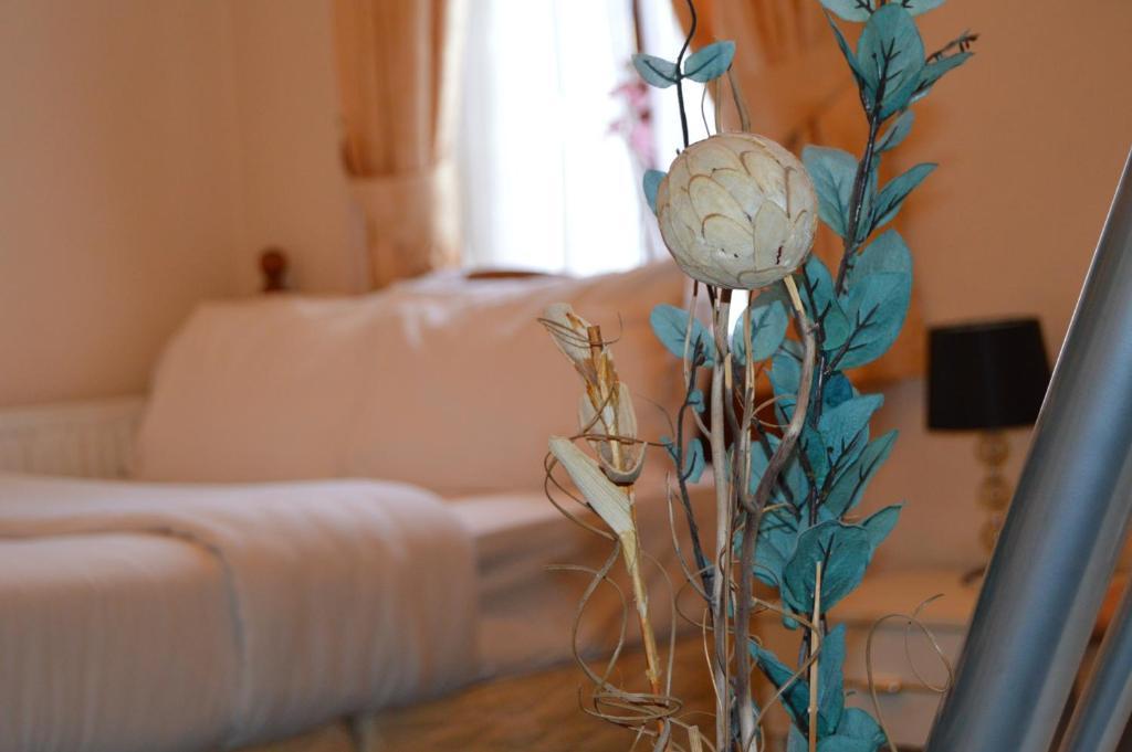 Fortuna House Guest house